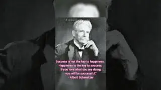 Albert Schweitzer quotes #motivation