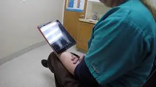 OFA Hips and Elbows Screening For Belgian Shepherd Malinois Breeding Sire Jovin The Protection Dog
