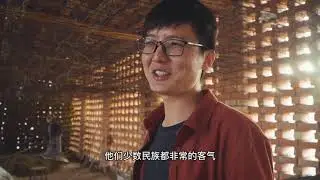 The production process of the raisins of Xinjiang.