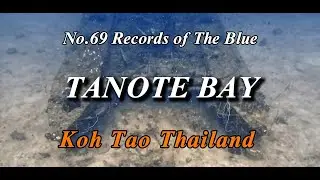 TANOTE BAY | Koh Tao | Underwater Film | Relaxing Music #kohtao #diving #thailand  #꼬따오 #태국 #다이빙 #여행