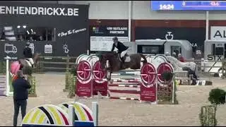 Vegas van &lsquo;t Koningsbos WS KCX (Conthargos x Kannan x Cento) AES app stallion, 2021 