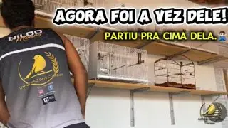 [2026] V-86°/  ESPEREI COM PACIÊNCIA, E ACONTECEU ISSO AQUI NO PLANTEL!🙌