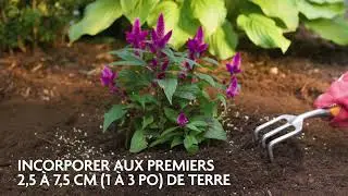 Engrais pour plantes toute usage Miracle-Gro&reg; Shake 'n Feed&reg;