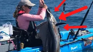 Girl Catches Sailfish from a Kayak (Live Fishing Show / Podcast)