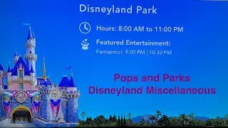 Pops and Parks: Leftovers from Disneyland