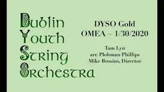 DYSO Gold - Tam Lyn