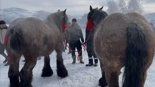 🔥Фестиваль БУТИНАРЬ 🔥