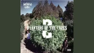 Ganja Boss