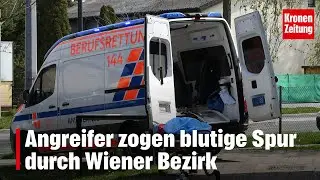 Angreifer zogen blutige Spur durch Wiener Bezirk | krone.tv NEWS