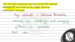 Why are most mosquitoes now found to be DDT resistant although DDT was known to be a highly effe...