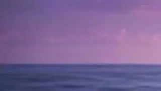 Dreamscape Echoes