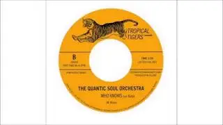 the Quantic Soul Orchestra who knows