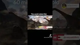THE WORLD OLDEST FISH. 60MILLION YEARS DISCOVERY