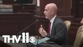 Arkansas education secretary grilled over changes to childcare vouchers