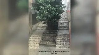 130623 Un fort aiguat i pedregada cau a Martorell