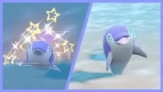 Live Full Odds Shiny Finizen - Pok&eacute;mon Scarlet & Violet
