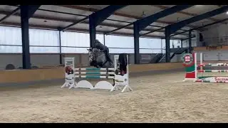 Daphne de Luxe KHR v. Dallas VDL
