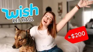 $200 WISH HAUL FOR MY DOG