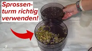 So verwendet man einen Sprossenturm richtig [Schritt f&uuml;r Schritt erkl&auml;rt]