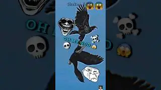 Falcon Vs Eagle 💀 Moment Before Disaster... #troll #trollface #viralvideo #shorts