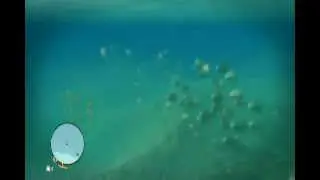 Far Cry 3 Game Play - Shark Attack