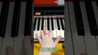 Безглютеновая доминанта? 🤨😄
