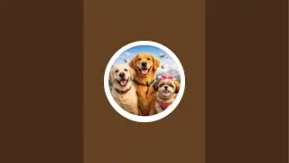 MR Snow- Leo- Bella & Family Stories is live