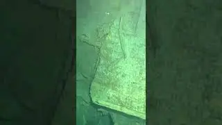 Big Ship in the world #ShipwreckDiscovery#NavalHistory #ArchaeologicalFindings #boat #fyp