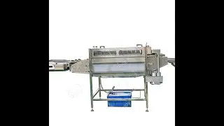 automatic egg washing machine