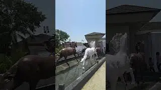 Nagpur&rsquo;s Top Wedding Spot|Dhawan Celebration Event & Decor Highlights, Best wedding venue in nagpur
