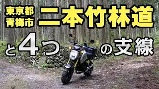 二本竹林道と4つの支線【ツーレポ】【モトブログ】【motovlog】【林道】