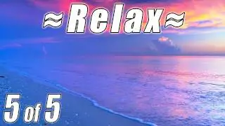 Relaxing FLORIDA KEYS BEACHES #5 + Ocean Sounds Key West, Florida Keys+ Naples Beach for studying