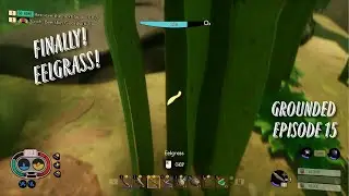 Grounded Episode 15 - Quest for Eelgrass and Commentary