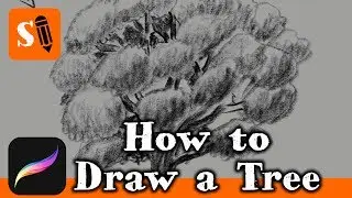 How to Draw a Tree  with Apple Pencil on iPad Pro