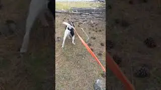 Yeti SAR Training