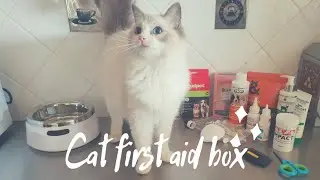 Cat first aid supplies