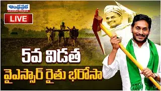 LIVE : వైఎస్సార్ రైతు భరోసా | YSR Rythu Bharosa | YSR Sunna Vaddi Panta Runalu | Andhraprabha News