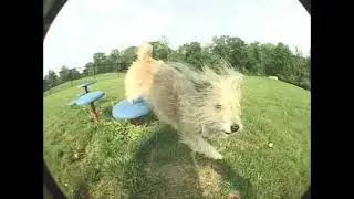 Margaret 11 Years Dogging in Basedworld!!! VX1000 Mk1