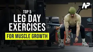 5 Most Effective Leg Day Exercises