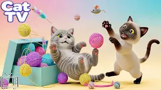 Cat TV: Ultimate Cartoon for Cats | 3D CAT VIDEOS for CATS to Watch | Calming Music For Cats