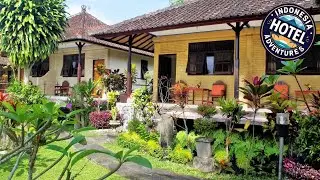 Rijasa Homestay | Bali, Indonesia | Hotel Review 🏨