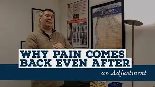 Why Pain Comes Back After an Adjustment / Chiropractic Care in Madison, WI