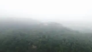 Into The Unknown - Harz Mood Drone Footage