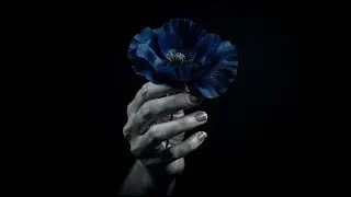 Blue Pills