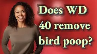 Does WD 40 remove bird poop?