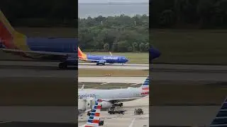 Are You Flying Southwest Home After the Holidays? #shorts #travel #subscribe #viral