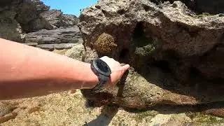 Creatures of the Low Tide, Okinawa, Japan.