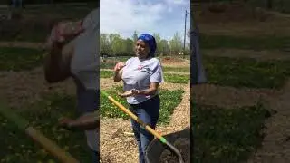 Layering the Plot with Fresh Compost