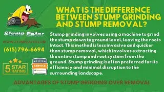 WHAT IS THE DIFFERENCE BETWEEN STUMP GRINDING AND STUMP REMOVAL?
