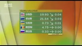 Cursul valutar 03.02.2017